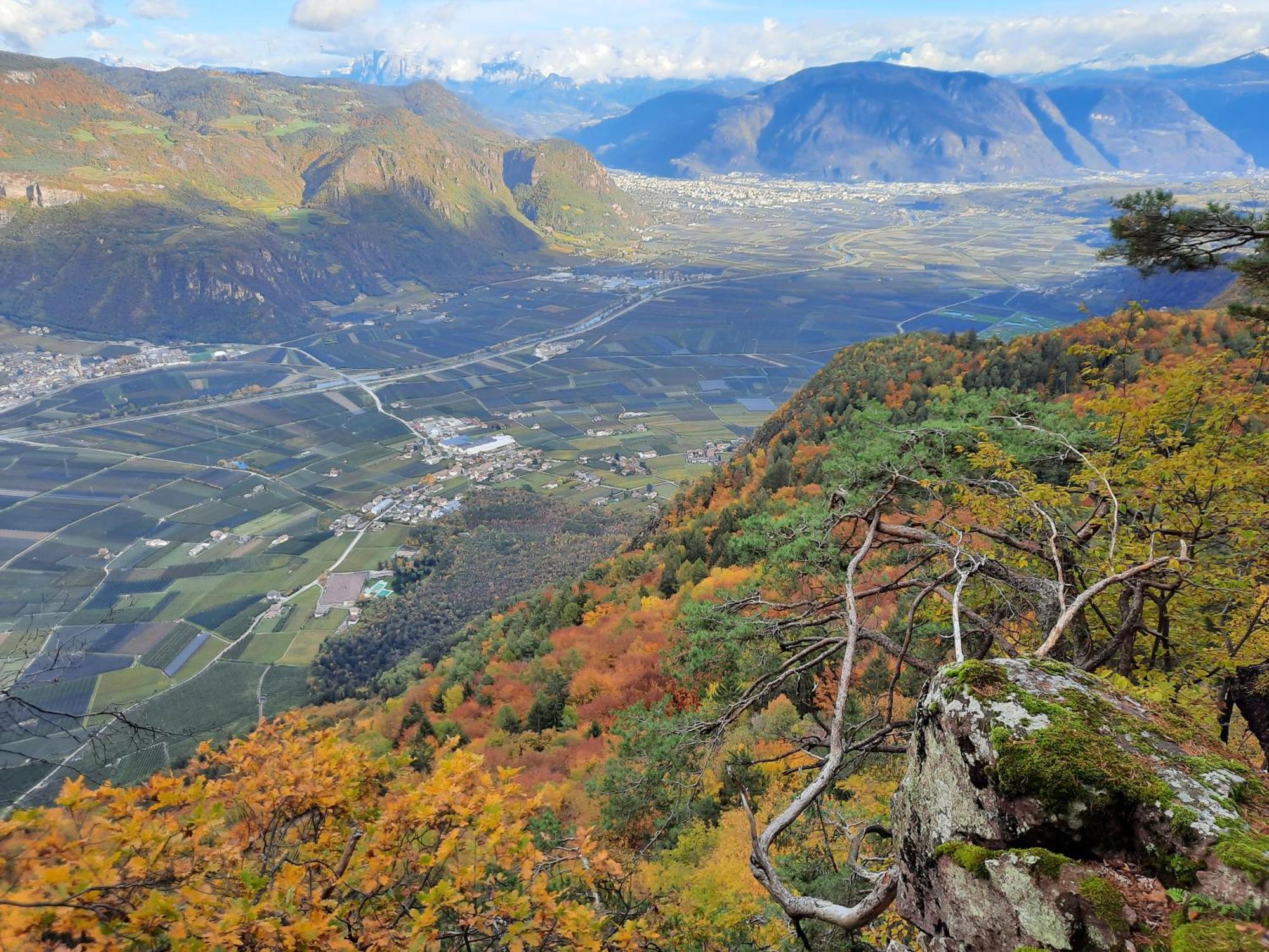 Tinnerhof Appiano Sulla Strada Del Vino Extérieur photo
