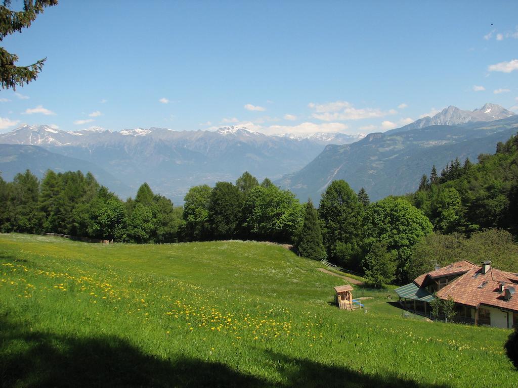 Tinnerhof Appiano Sulla Strada Del Vino Extérieur photo