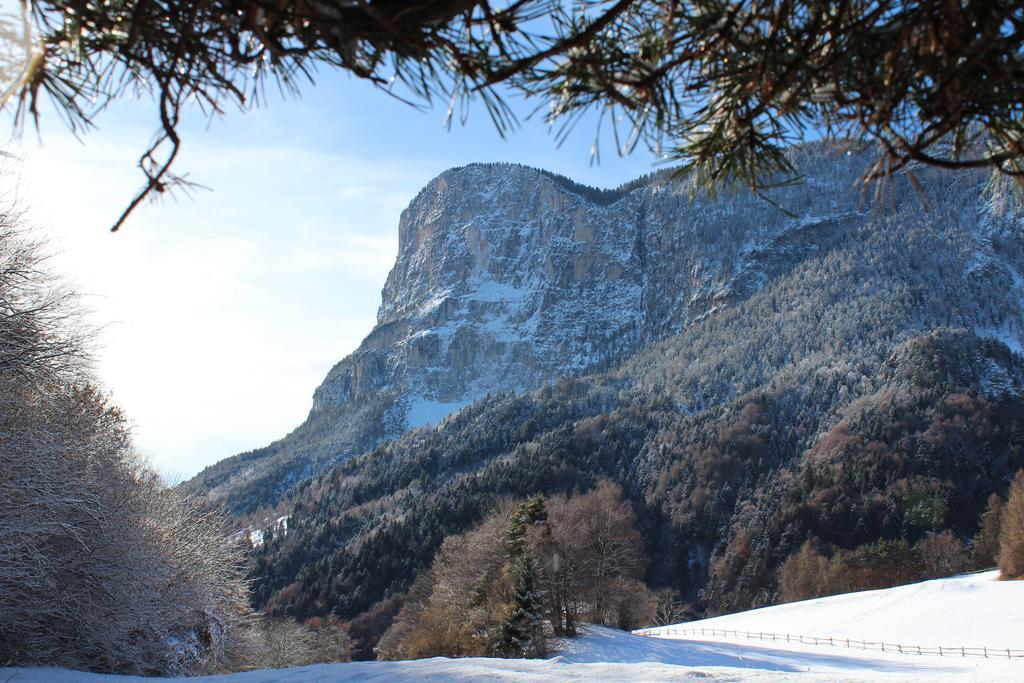 Tinnerhof Appiano Sulla Strada Del Vino Extérieur photo
