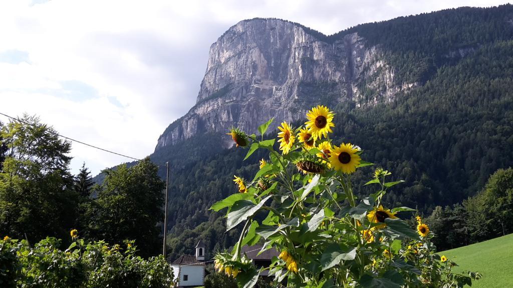 Tinnerhof Appiano Sulla Strada Del Vino Extérieur photo